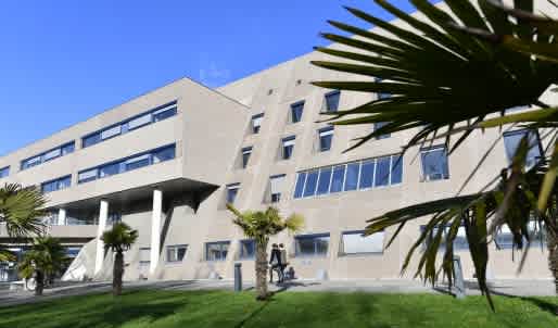 Dr Migueline NOUVEL