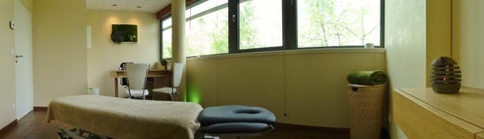 Jeremy MOULIN, Ostéopathe à Saint-Julien-en-Genevois, Lagnieu - Doctolib