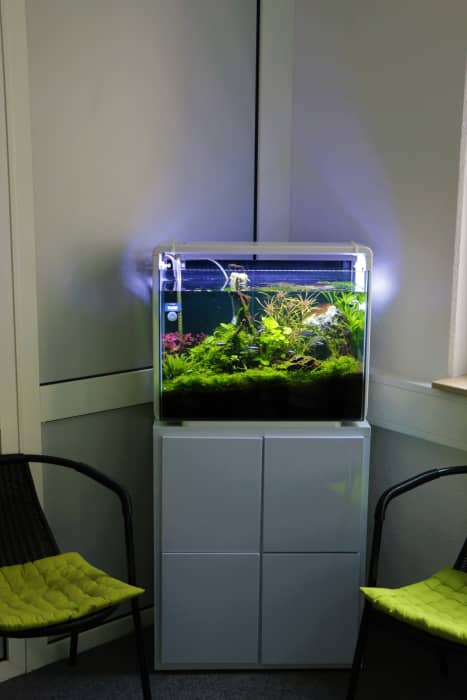 Augenarztpraxis Dr. Maximilian P. Mösler Und Dr. Sabina Barthelmeß-mösler Augenarztpraxis Dr. Maximilian P. Mösler und Dr. Sabina Barthelmeß