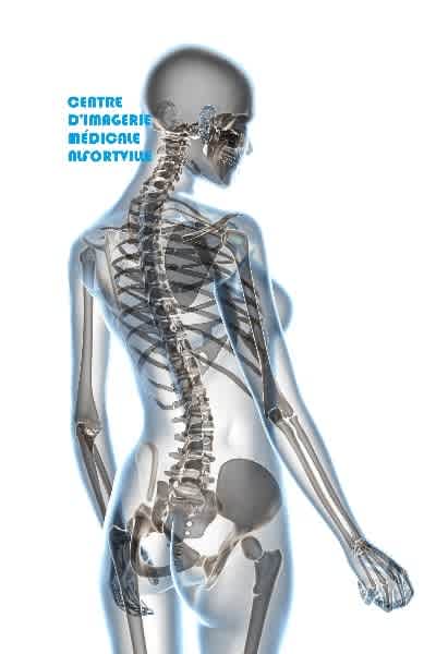 Centre d'imagerie médicale - Radiologie / Echographie - Alfortville