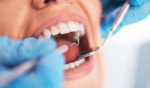 Dr Julie DEPREZ