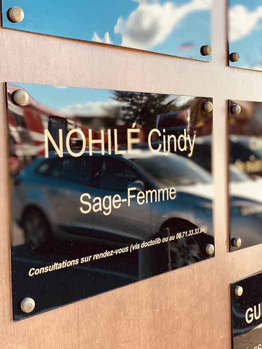 Cindy Nohile