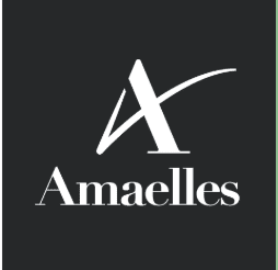 Centre de Soins Infirmiers AIMV-Amaëlles Chazelles-sur-Lyon