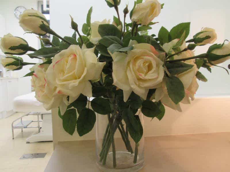 Dr Pauline DE LA SALMONIERE