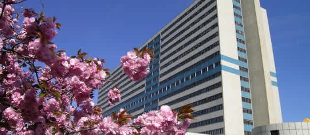 Service d’Oncologie-Radiothérapie et Centre des Maladies du Sein - Hôpital Henri-Mondor - AP-HP