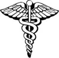 Dr Adeline CAOUS