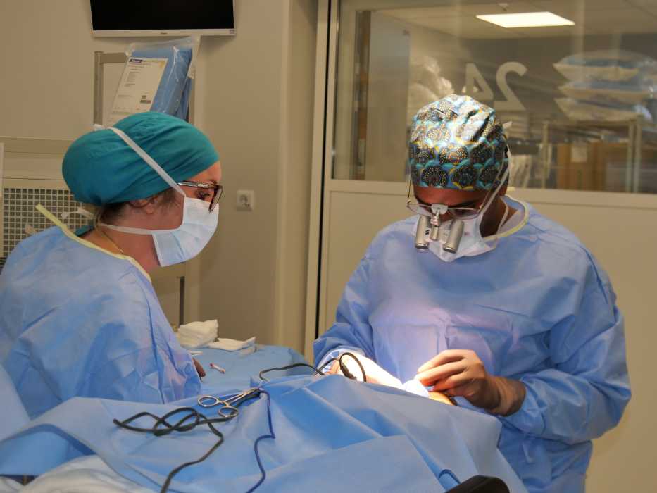 Dr Sylvain Bordereau, Ophtalmologue à Saint-Herblain