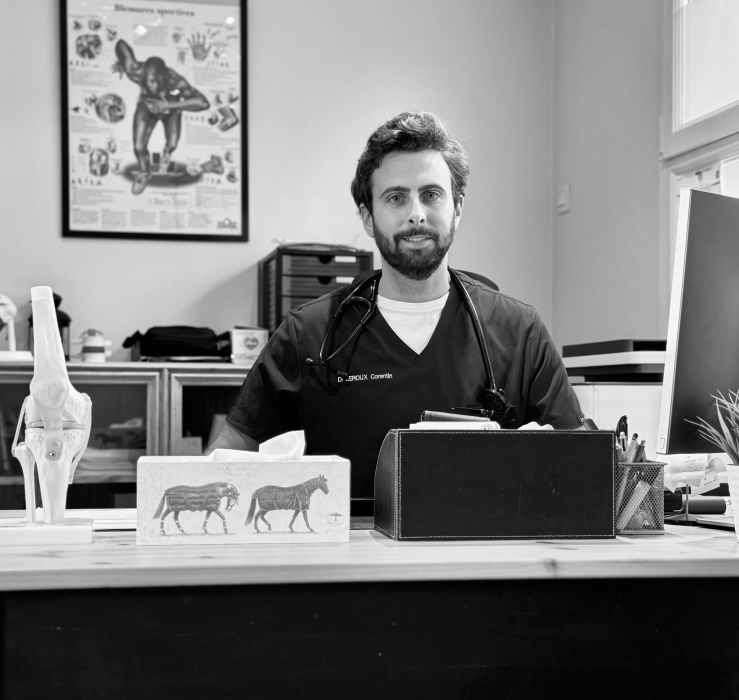 Dr CORENTIN LEROUX