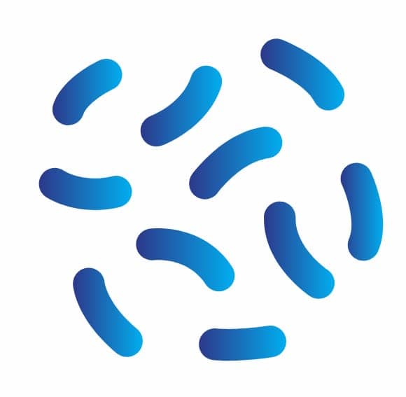 BIOLAM Laboratoire du Grand Mozart, Laboratoire à Amiens