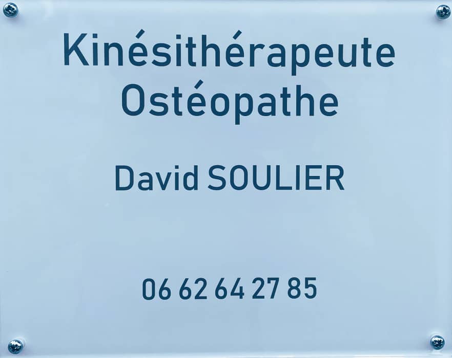 DAVID SOULIER