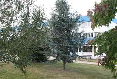 Dr Lakhadar AOUAD