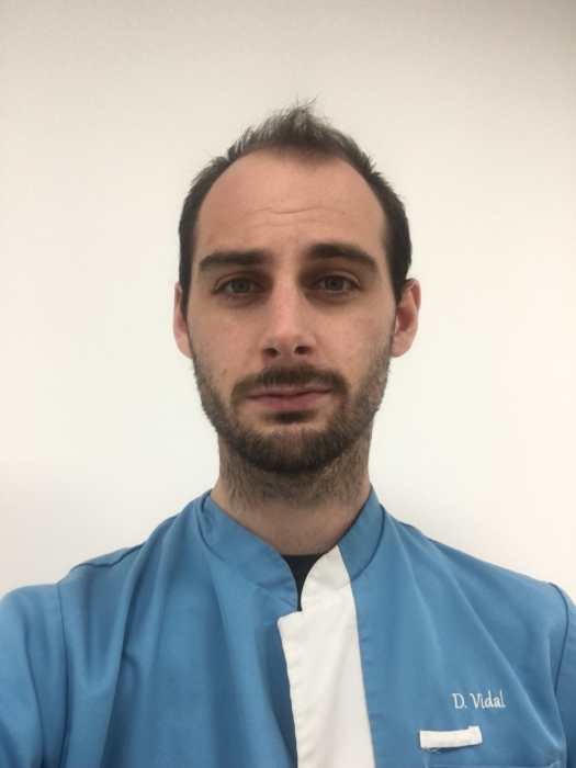 Damien VIDAL
