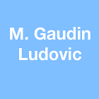 Ludovic Gaudin