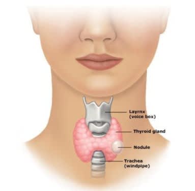 Dr Amel BOUROUINA