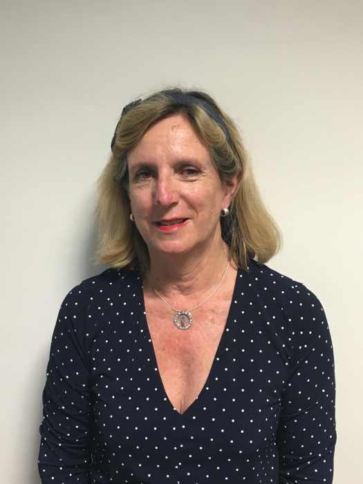 Dr Dominique SOULAN