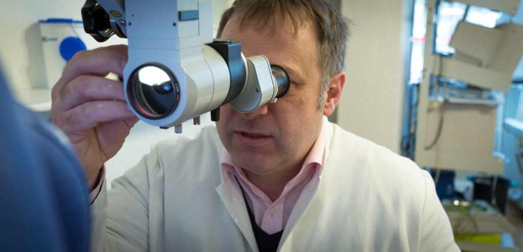 Hno Hannover List - Dr. Med. Stolle Dr. med. Stefan Stolle, HNO-Arzt in Hannover : Online Terminvereinbaren