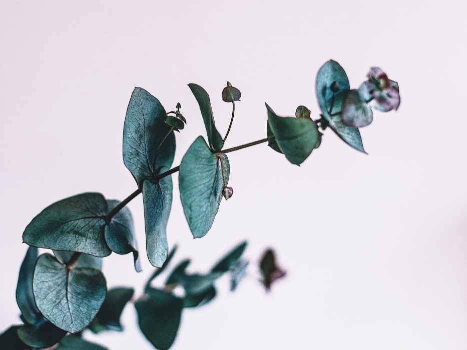 Hausarztpraxis Trier - Fr. Dr. Kaschenbach-preuß U. Fr. Dr. Wiebe Hausarztpraxis Trier / Fr. Dr. Kaschenbach-Preuß u. Fr. Dr. Wiebe