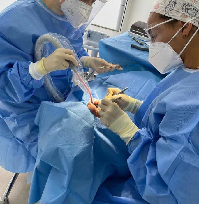 Dr Diana AUMERAN