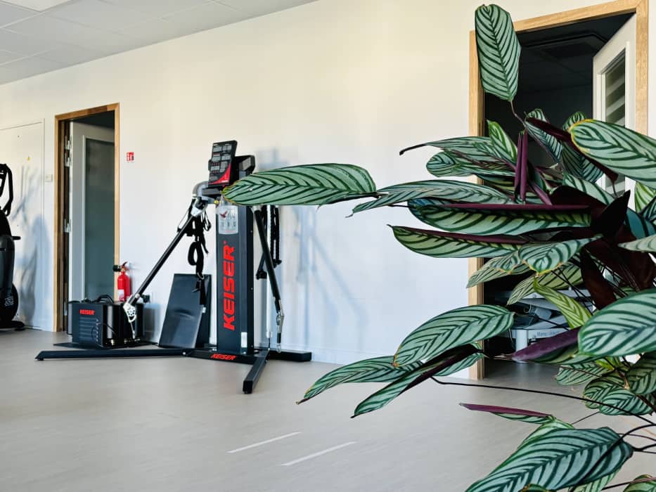 Momentum Process - Islo - Kinésithérapie, Masseur kinésithérapeute à Angresse