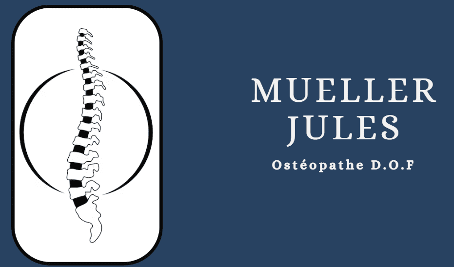 Jules Mueller