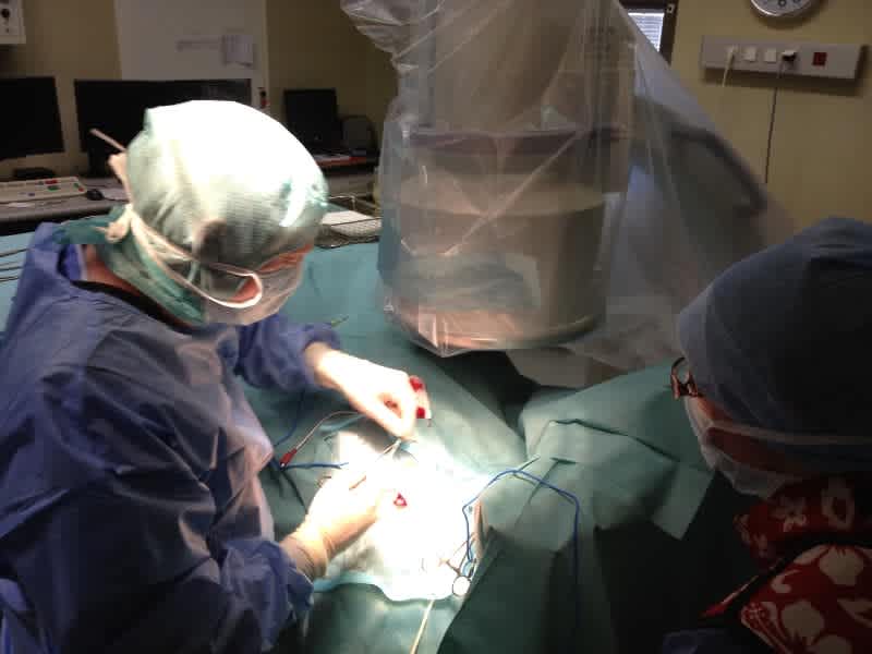 Dr Pierre DOTTO 