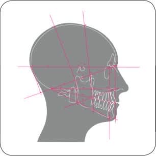 Dr Sébastien Riscala