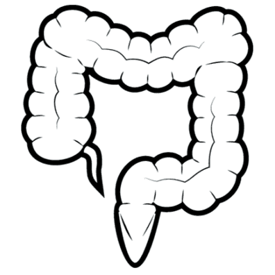 Dr Moncef Bekkat-Berkani, Gastro entérologue et hépatologue à Manosque