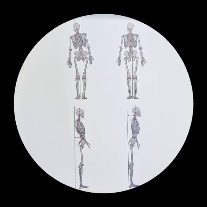 Ostéopathes - Cabinet Marcellot & Associés - Boguszewski Lisa, Ostéopathe à Gannat