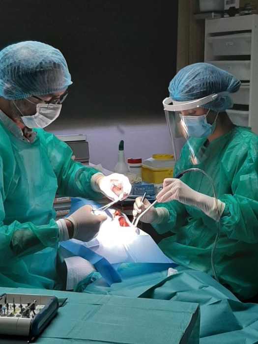 Dr BRUNO DALES