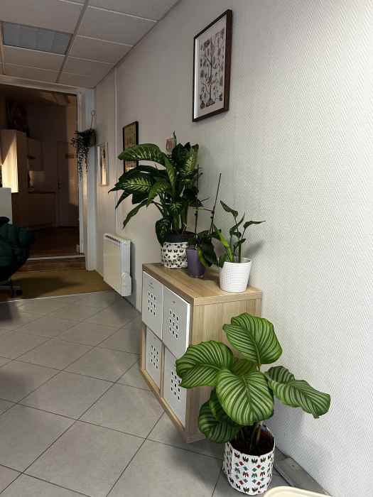 infirmier Mélusine Laville, Alice Gay, Aurélien Jarlier