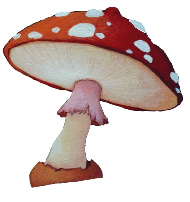 Dr Valérie Niel-Bernard