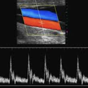 Dr Alexandre LEBLANC