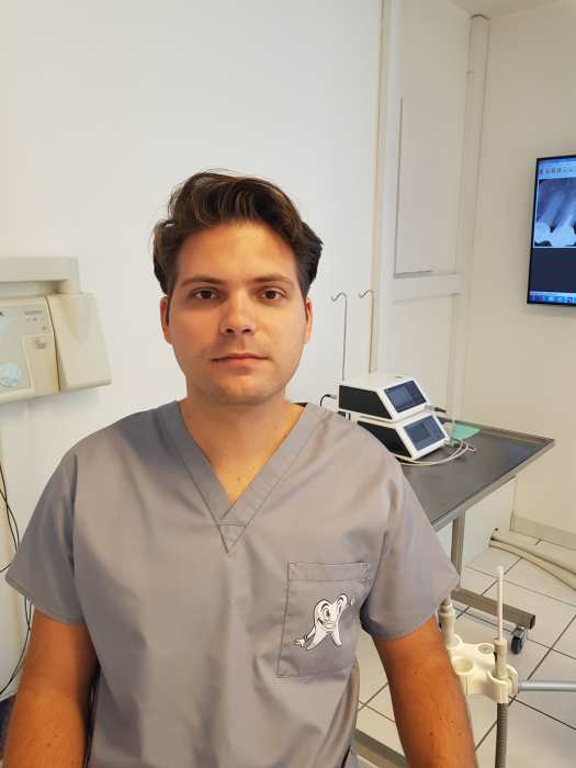 Dr Silviu Plopeanu
