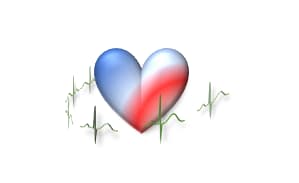 Dr Samer Nasif