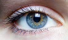 Orthoptistes Saint-Géréon
