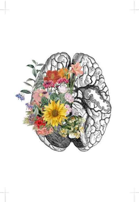 Dr Lisa Faucher, Psychologue à Brassac-Les-Mines