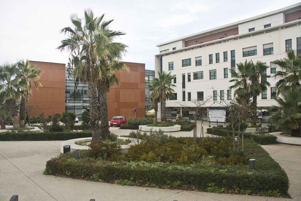 Dr Daniele Montiel Sabatier