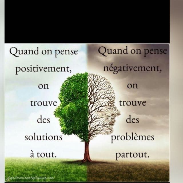 Dr Bruno Palmese