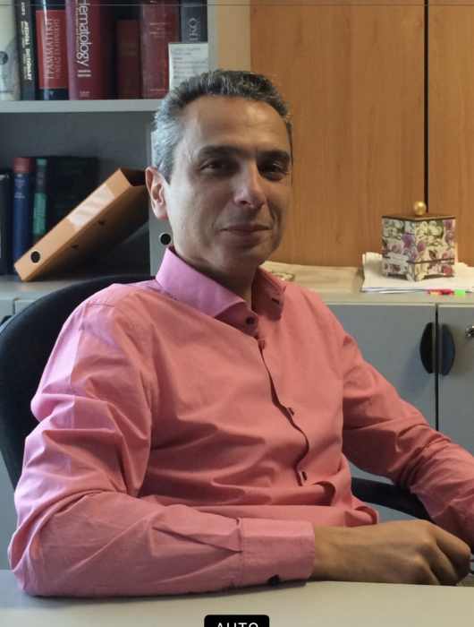 Dr Stergios LIAPIS
