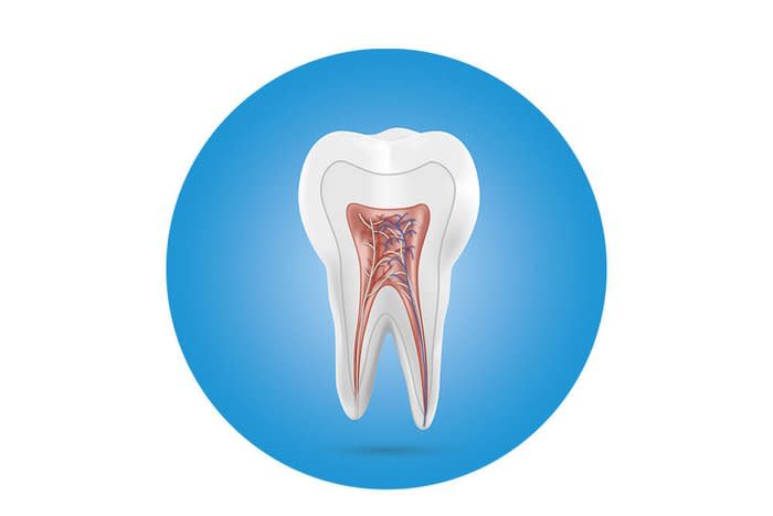 Dr Nora Lucazeau, Chirurgien dentiste à Sainte-Luce-Sur-Loire