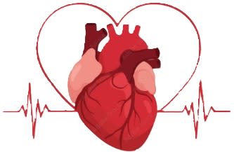 Dr Missoum Djebbas, Cardiologue à Botsorhel