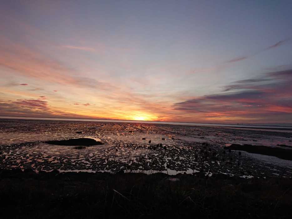 Dr Frédéric Villar