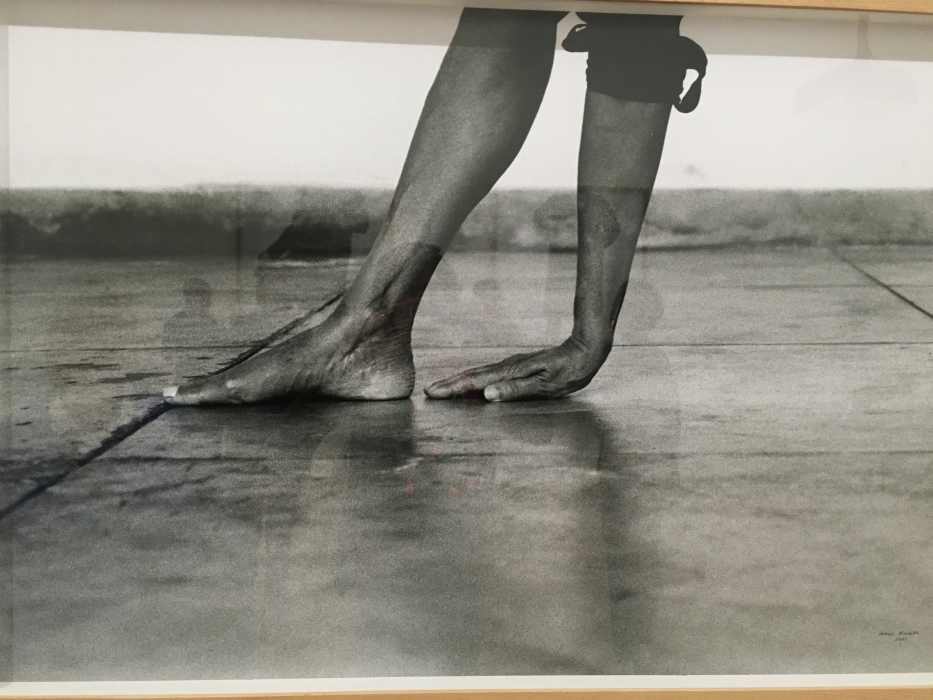 Anne TADEC