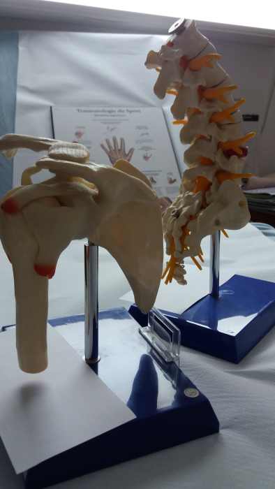 Dr DORIS CHATELAIN ESCHBACH