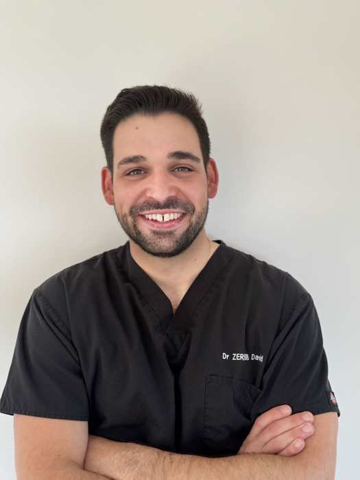 Dr David Zerbib