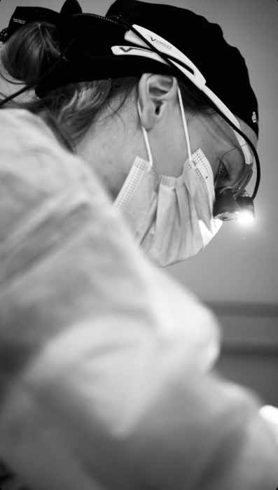 Dr Julia COLLIN