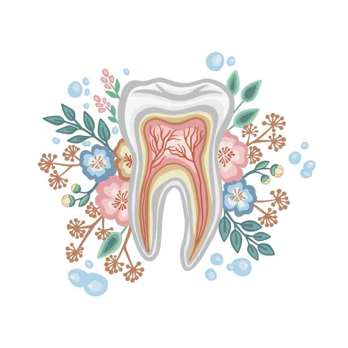 Dr Lorraine Delplancq, Chirurgien dentiste à Rocroi