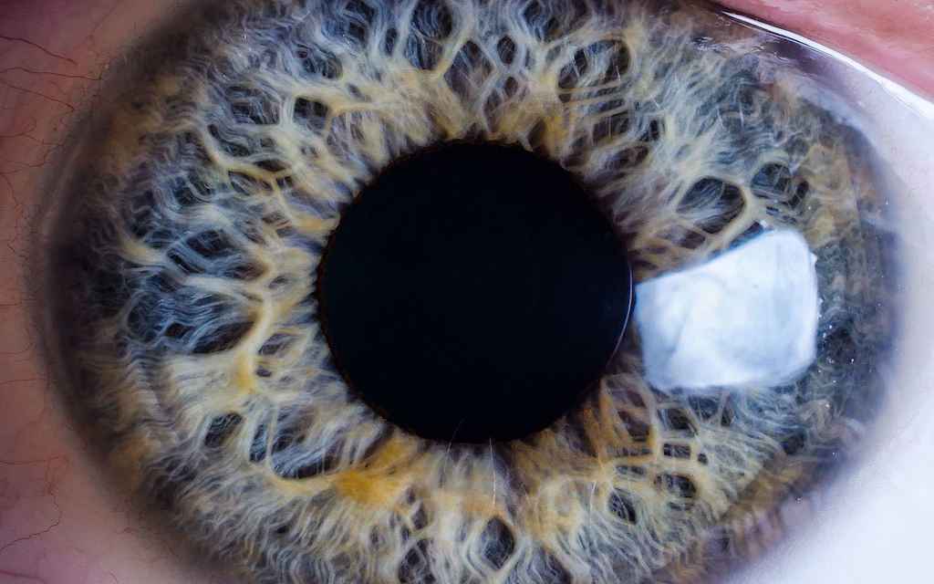 Dr Imene Bazi, Orthoptiste à Lyon-8e-Arrondissement