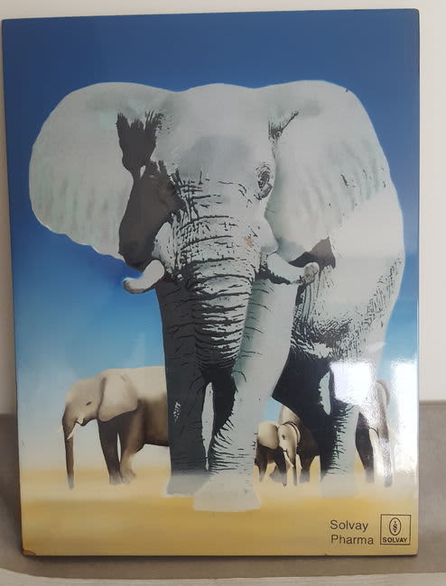 Dr Marie-Ange LLEDO-DURAND