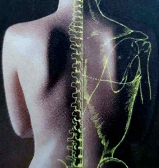 Jonathan PAULEAU